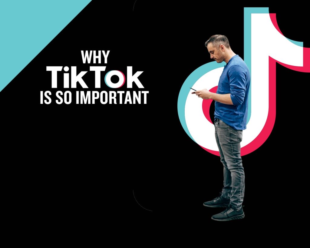 tiktok video downloader