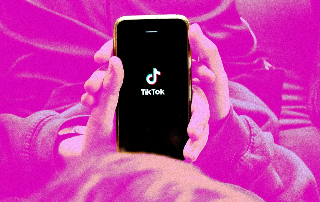 tiktok downloader
